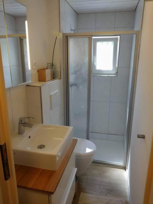 Bijou 1 Huebsche 1 Zimmer Wohnung Herisau Ngoại thất bức ảnh